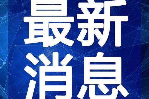 狗仔爆料剪辑视频大全最新,揭秘娱乐圈幕后真相